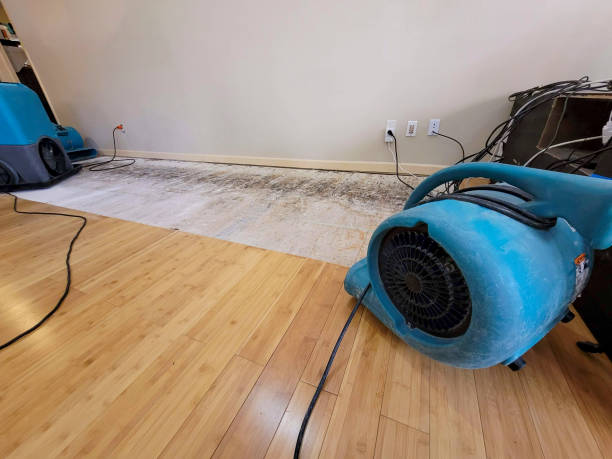 Reliable Basement Flood Cleanup contractor in Burns, CO by Hirex Water Damage
