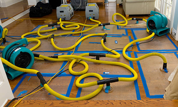 Professional Basement Flood Cleanup technician working in Burns, CO